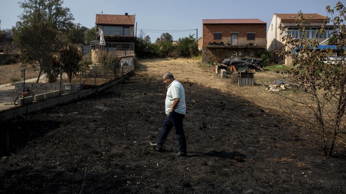 Un vecino pista el terreno quemado en el incendio forestal de Losacio, en Zamora.