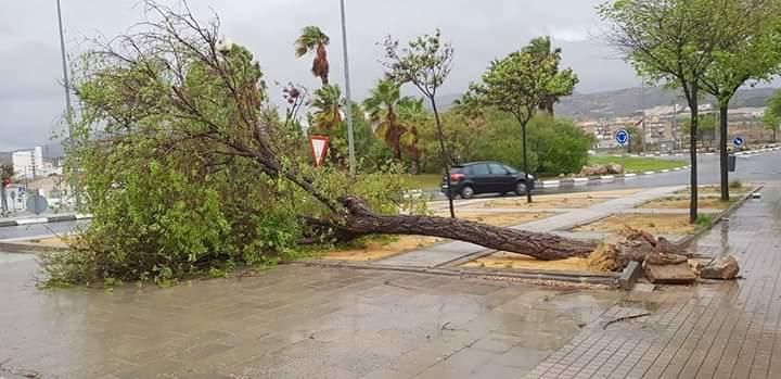 Medio Vinalopó.