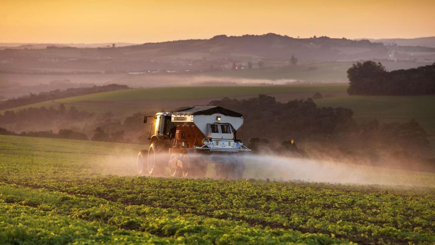 Descubren un mecanismo vegetal que podría evitar el uso de fertilizantes en los cultivos