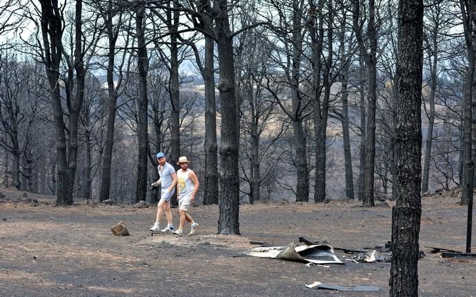 INCENDIO CUMBRE GRAN CANARIA