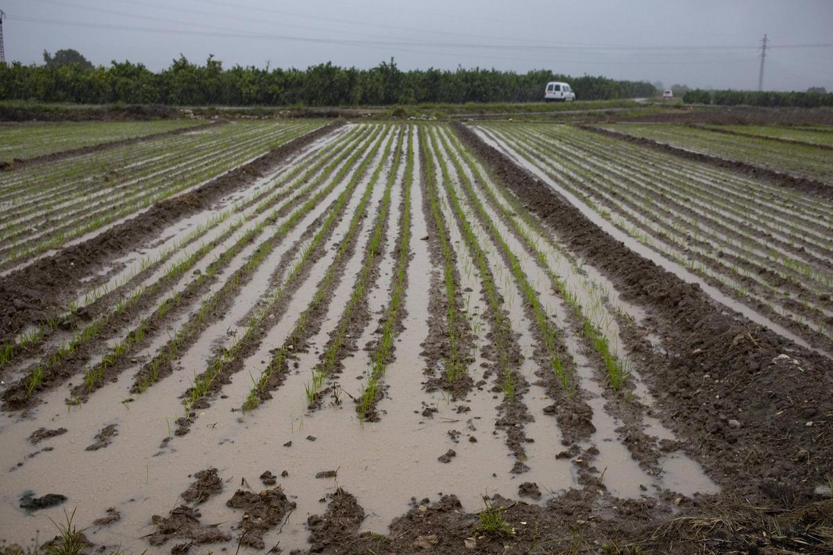 Campos anegados por el temporal en la Costera.