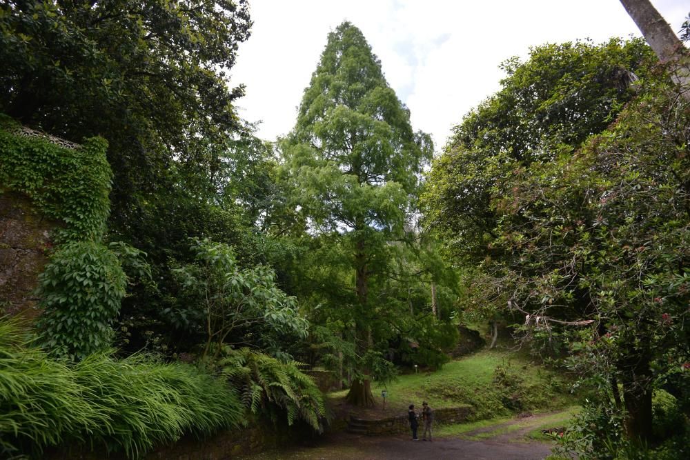 El Jardín Botánico de Lourizán, un pulmón verde