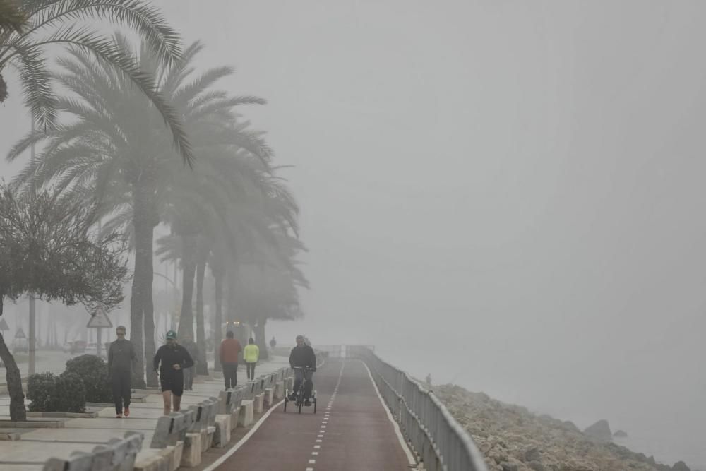 Palma amanece cubierta de niebla