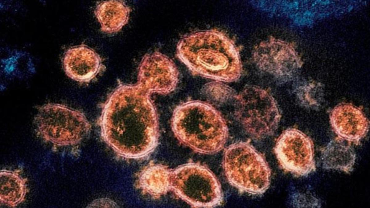 Este es el listado de rebrotes activos de coronavirus en España