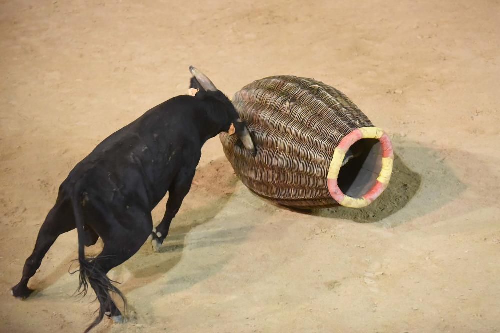 Corre de bou de Cardona