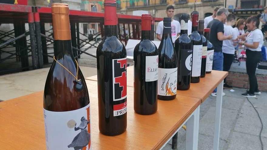 Botellas de vino de Toro preparadas para una cata popular celebrada en la última fiesta de la vendimia.