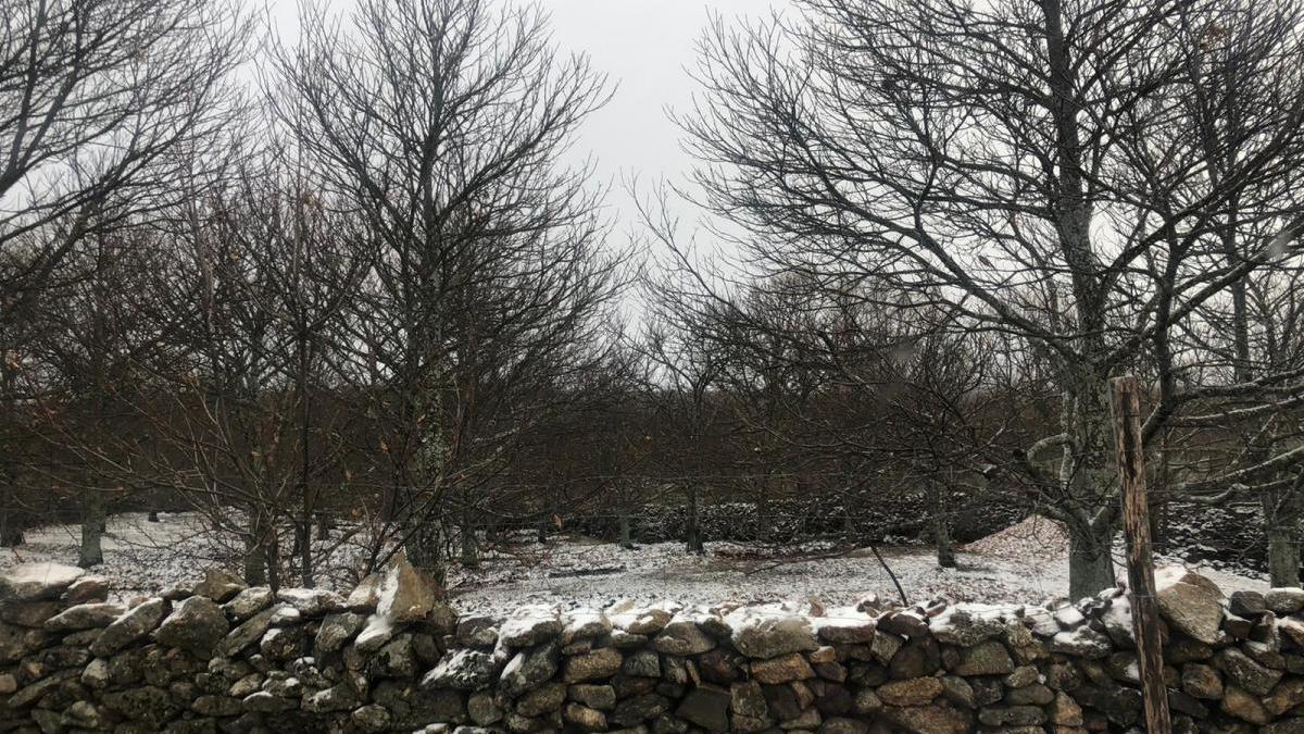 La nieve vuelve al norte de Extremadura