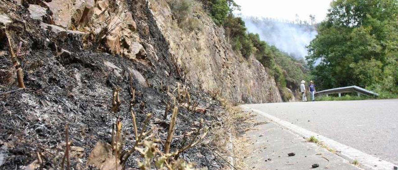 Una margen de la carretera que comunica Navelgas y Villayón.