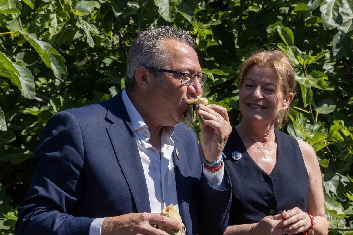 El Corte de la Breva 2026 marca el inicio de la campaña en Albatera