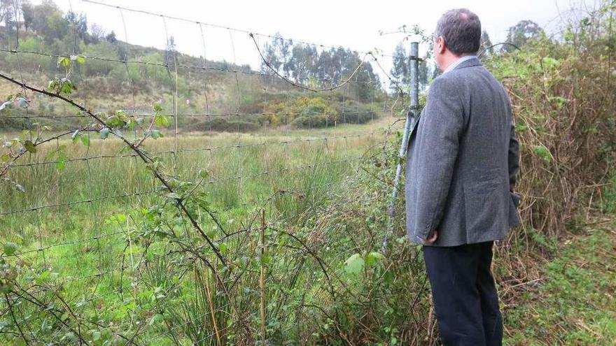 La finca en la que el Ayuntamiento de Ribadesella quiere crear un aparcamiento cerca de Cueves.