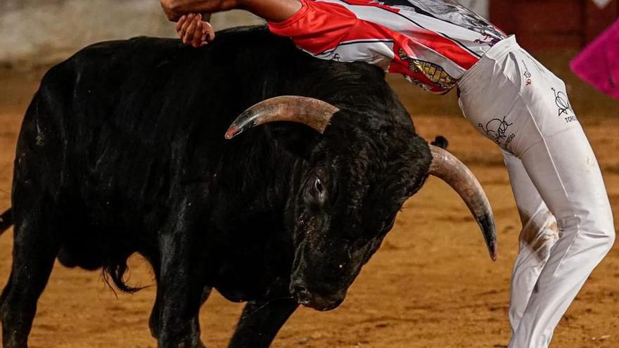 Adrián España, cortador de toros: "El miedo siempre está presente porque te juegas la vida"