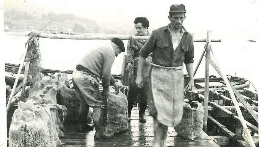 El sector mejillonero quiere que se reconozca el papel de las bateeiras