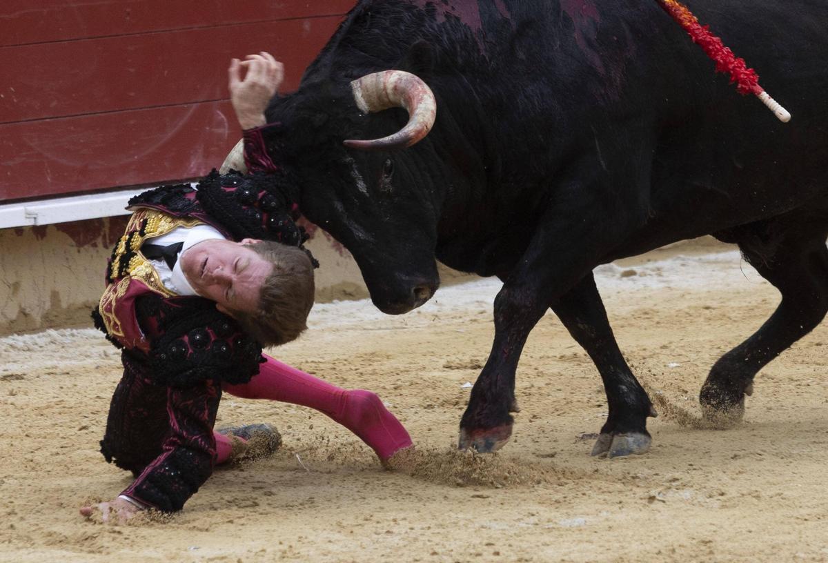 Momento de la dramática cogida a Borja Jiménez en la plaza de toros de València