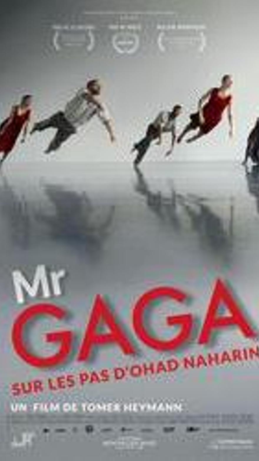 Mr. Gaga