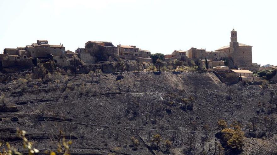 Los alrededores de Alcalá del Moncayo totalmente calcinados por el fuego.  | JAIME GALINDO