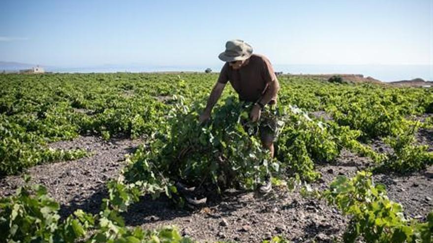 Los 27 logran un acuerdo sobre la futura PAC y piden destinar un 20% de los pagos directos a los ecoesquemas