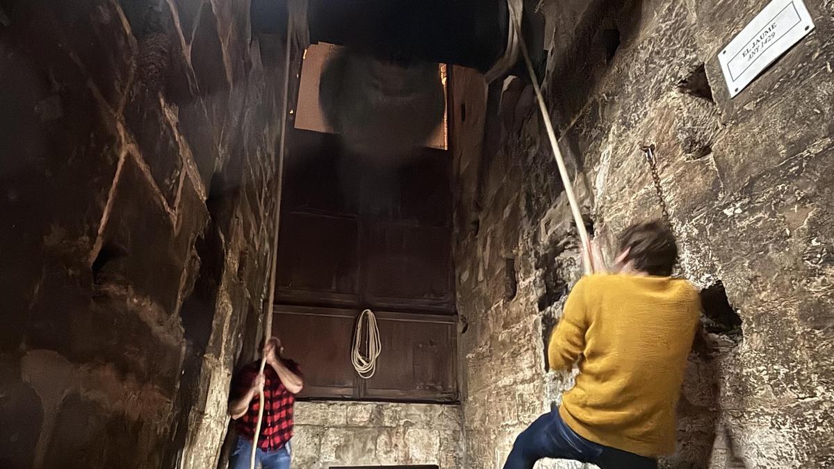 Dos campaners de la Seu en plena acció