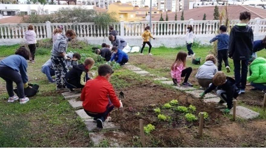 Rincón acerca los huertos ecológicos a los alumnos de los centros escolares