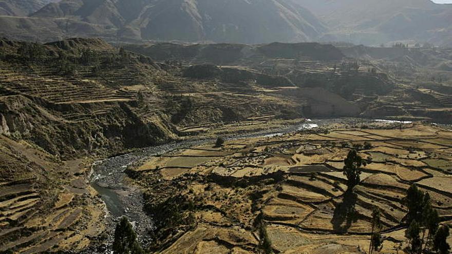 El Cañón del Colca, con casi 100 kilómetros de largo y con una profundidad de 3.400 metros en la región peruana de Arequipa, un lugar privilegiado para la observación del cóndor.