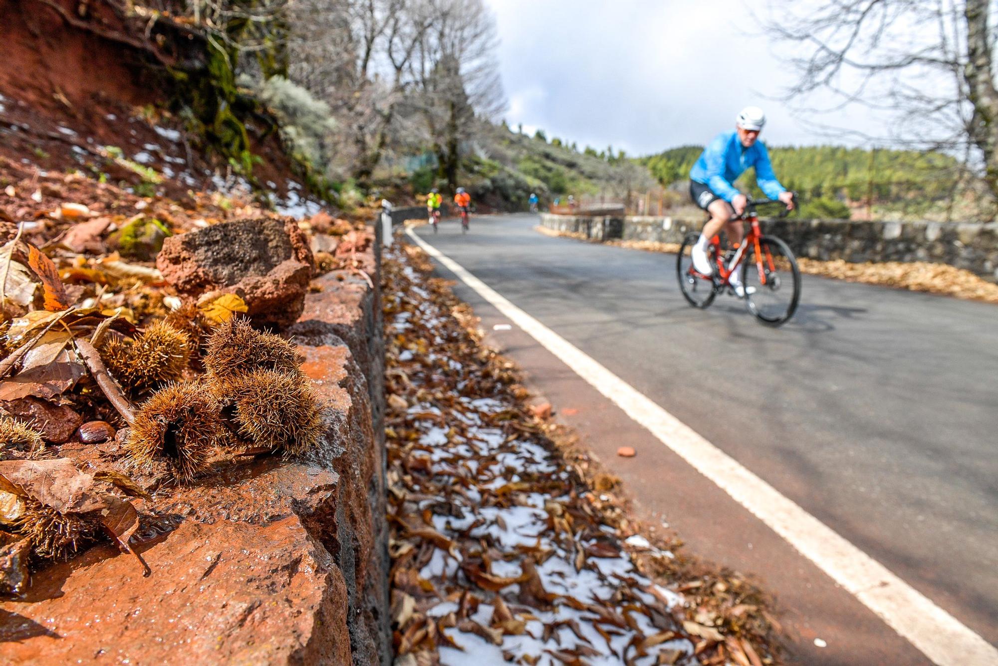 Nevada en Gran Canaria (16/02/23)