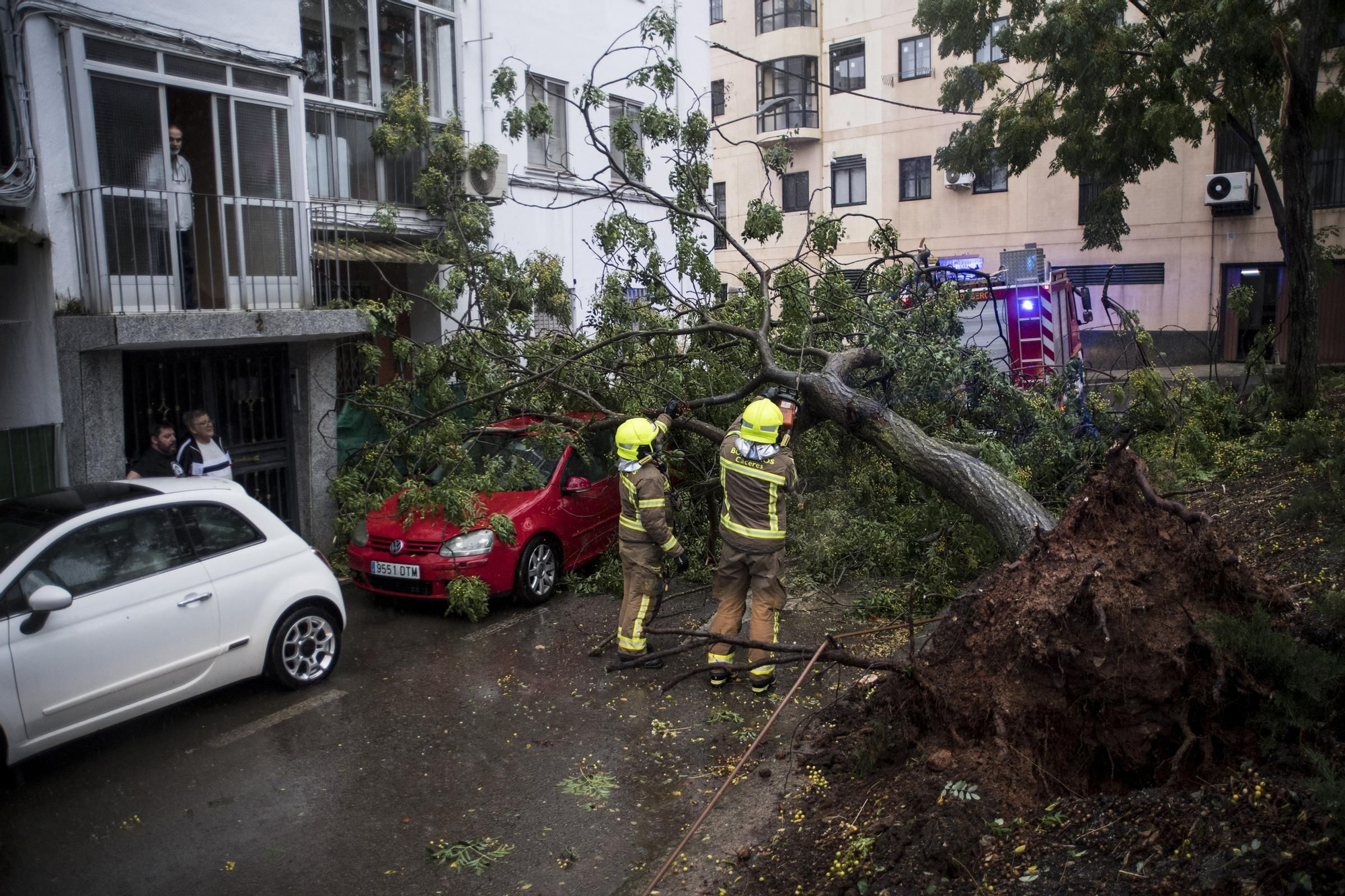 Fotogalería | Así afecta el temporal de lluvia y viento en Cáceres