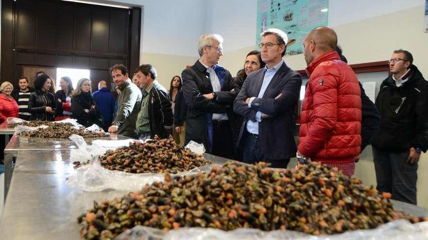 El presidente de la Xunta observa la subasta de percebe en la lonja de Cangas. // Gonzalo Núñez