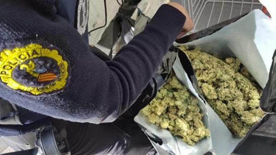 Los cogollos de marihuana incautados por en Salinetas.