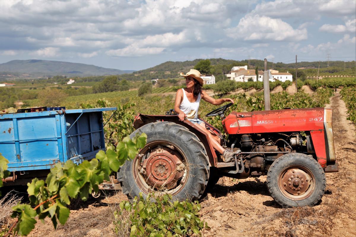 50 Viticultores del Penedès