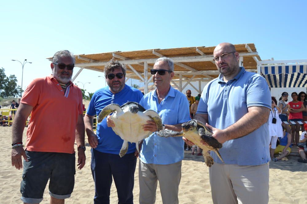 Suelta de tortugas en Dénia