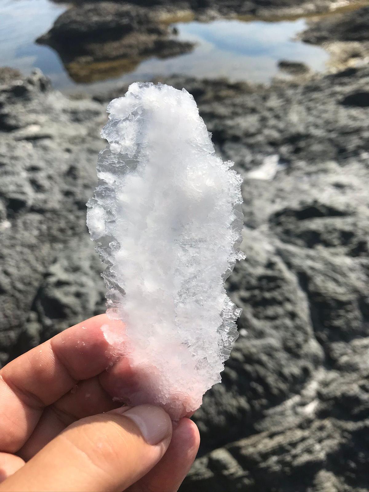 La flor de sal que cristal·litza entre les roques