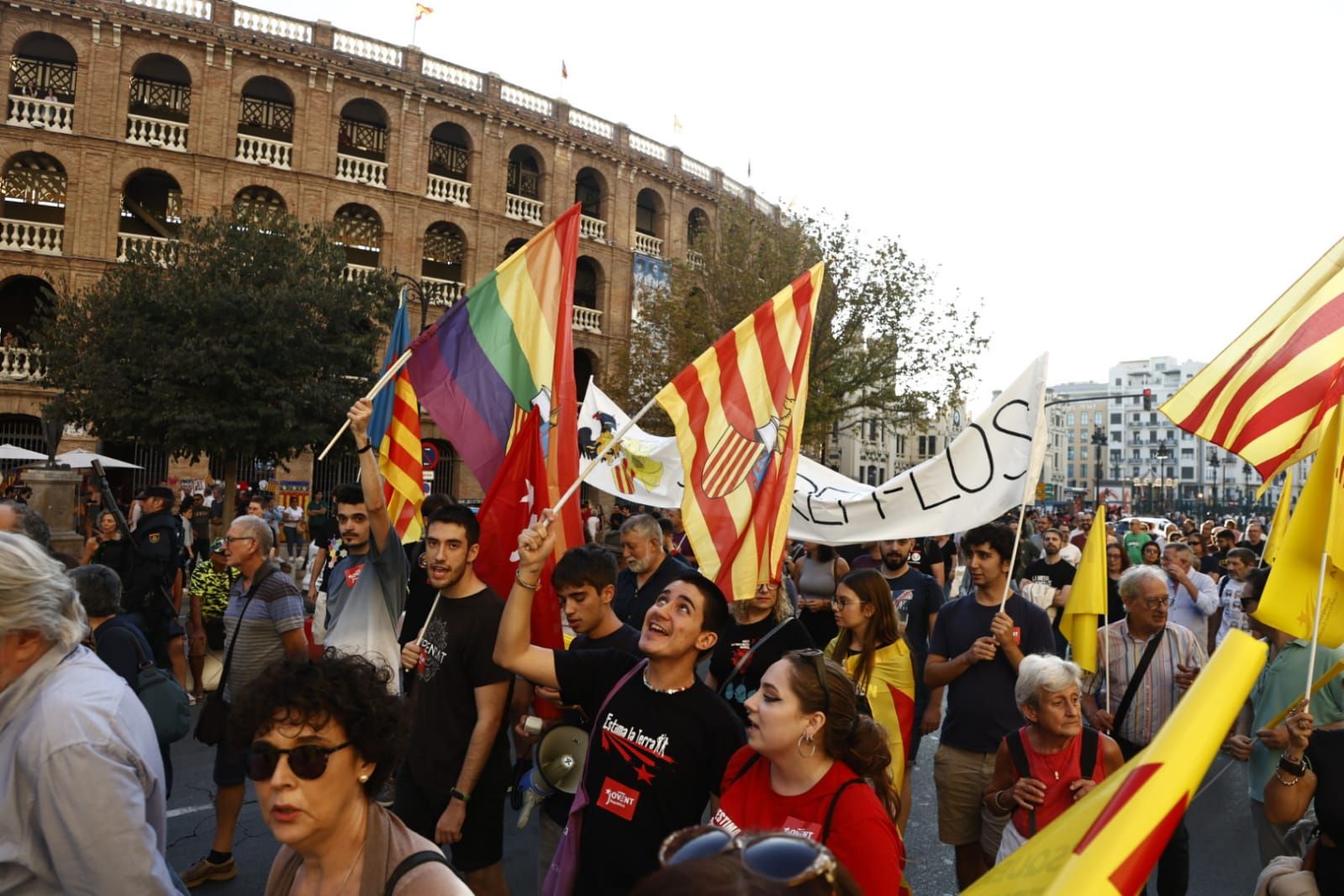 Todas las fotografías de la manifestación del 9 d'Octubre en València