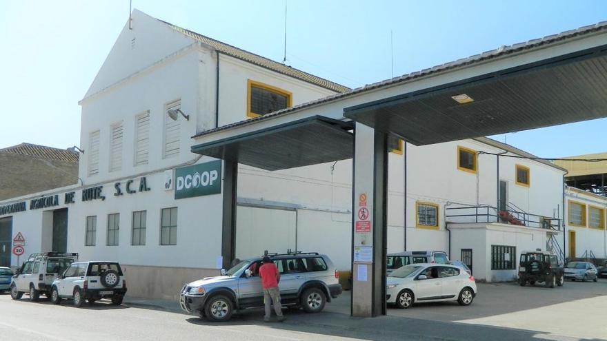 La Cooperativa de Rute decide su salida de Dcoop para fusionarse con Almazaras de la Subbética