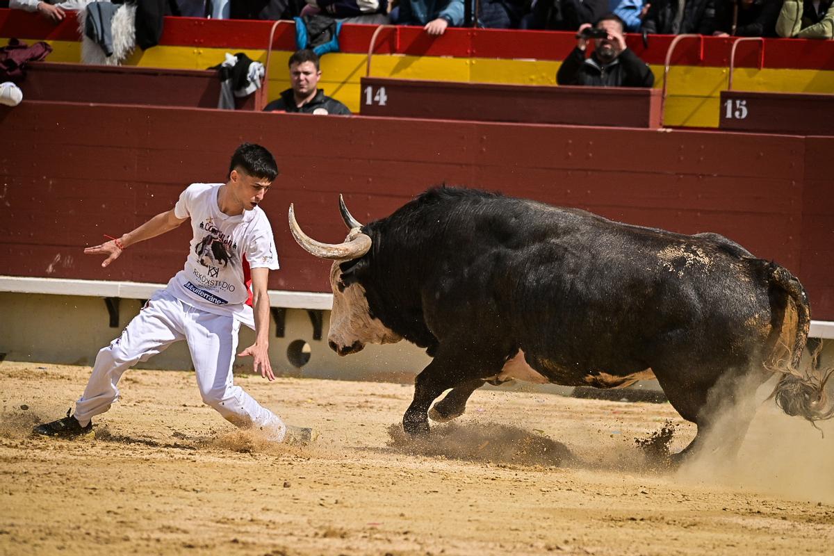 Galería de imágenes: Los maestros de la calle toman la plaza de Castelló