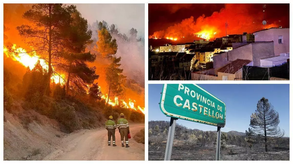 Tres años del grave incendio del Alto Mijares: los alcaldes critican que el monte sigue siendo un "polvorín" y aún hay pilas de leña por retirar
