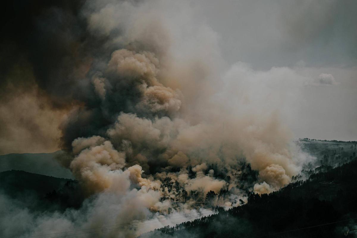El incendio de Boborás, el primer foco importante en Ourense antes del verano