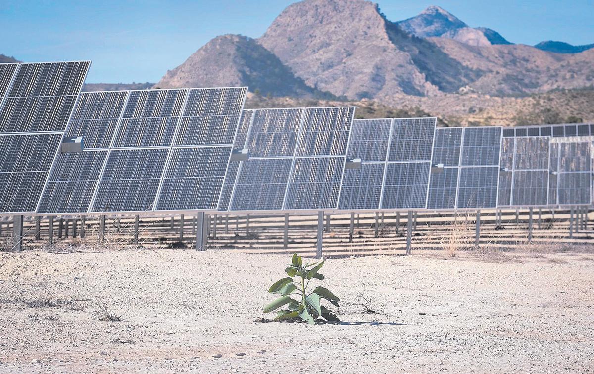 Planta solar de Xixona, la más grande de la Comunidad Valenciana