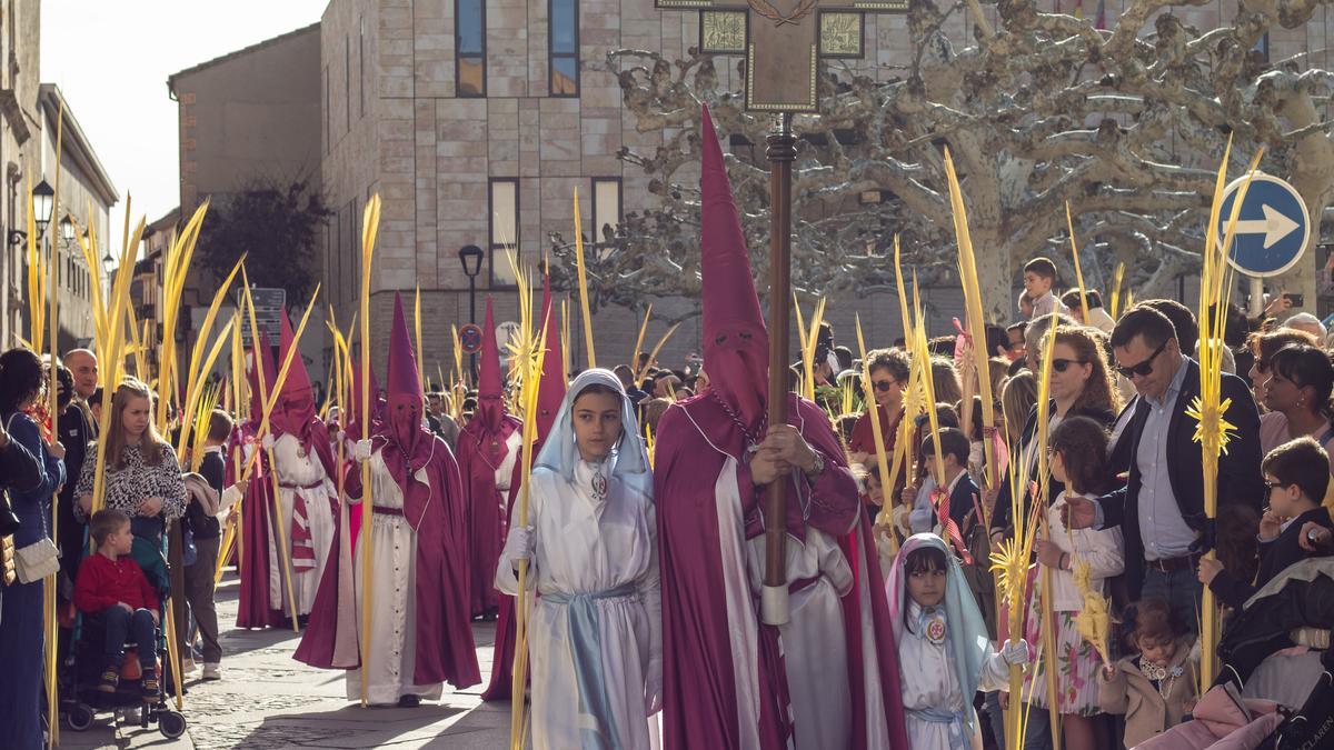 VÍDEO | Así ha sido la procesión de "La Borriquita" de Zamora