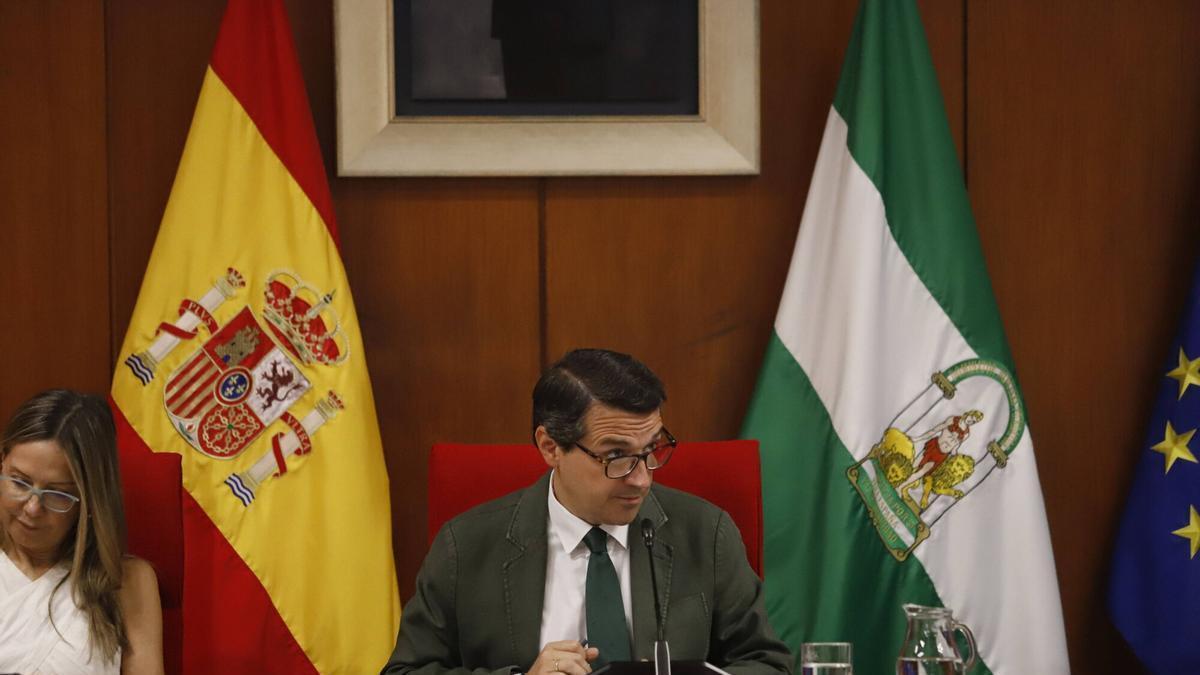 El alcalde de Córdoba, José María Bellido, en el pleno de julio.