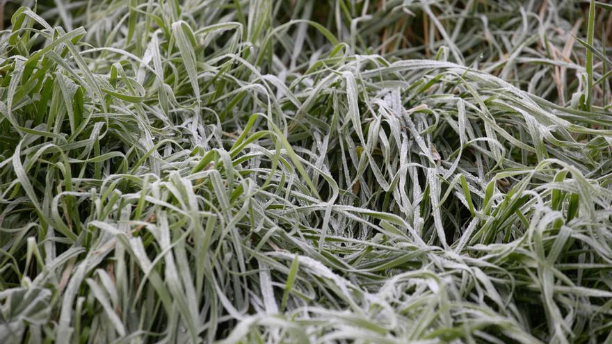 Varios puntos de la Serra de Tramuntana registran heladas débiles por tercer día consecutivo