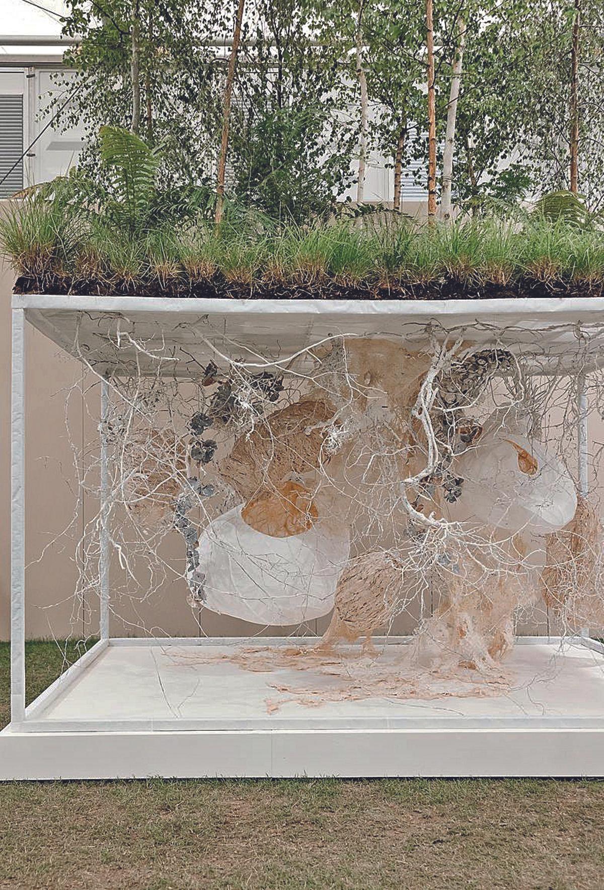 Obra con la que Kreusch reivindicó el equilibrio oculto natural de raíces y hongos bajo el suelo.