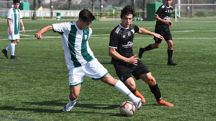 El Córdoba y Séneca se abonan al triunfo rotundo