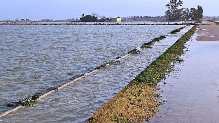 Afectacions del temporal al delte de l&#039;Ebre, ahir.