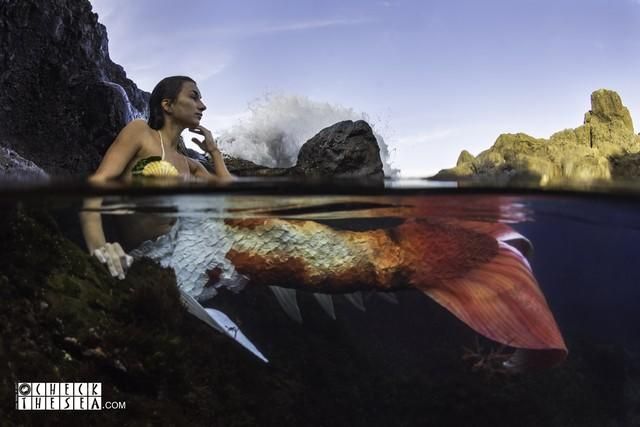 Una sirena en aguas de Tenerife