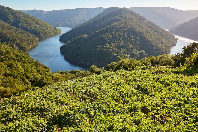 Ribeira Sacra, Galicia