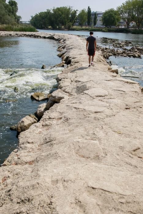 Sequía en Zamora: El Duero, bajo mínimos