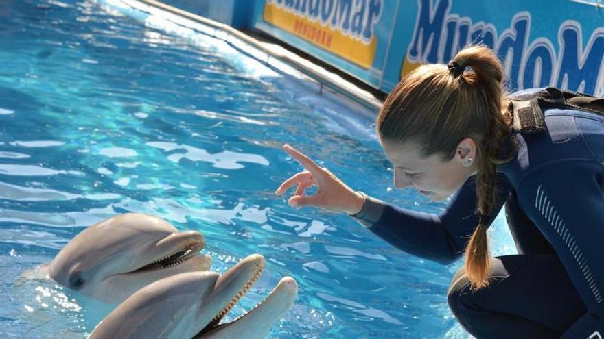 Mundomar, el parque de naturaleza de la Costa Blanca cumple 30 años