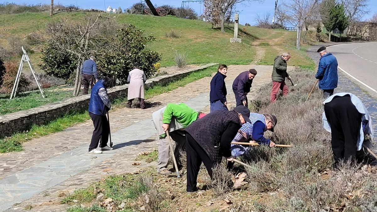 Limpieza de las calles de Bercianos de Aliste