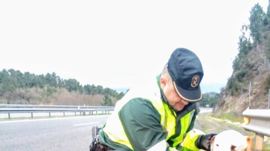 Uno de los agentes de la Guardia Civil con el perro rescatado.