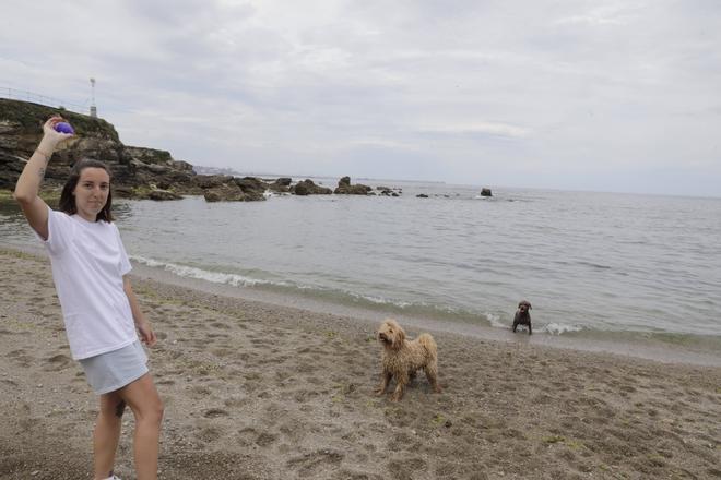 Usuarios de la playa del Rinconín disfrutan del arenal con sus mascotas