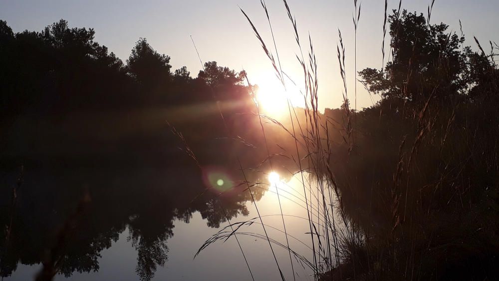 Matinada. Esplèndida, aquesta sortida del sol amb el seu reflex a l'aigua d'una bassa